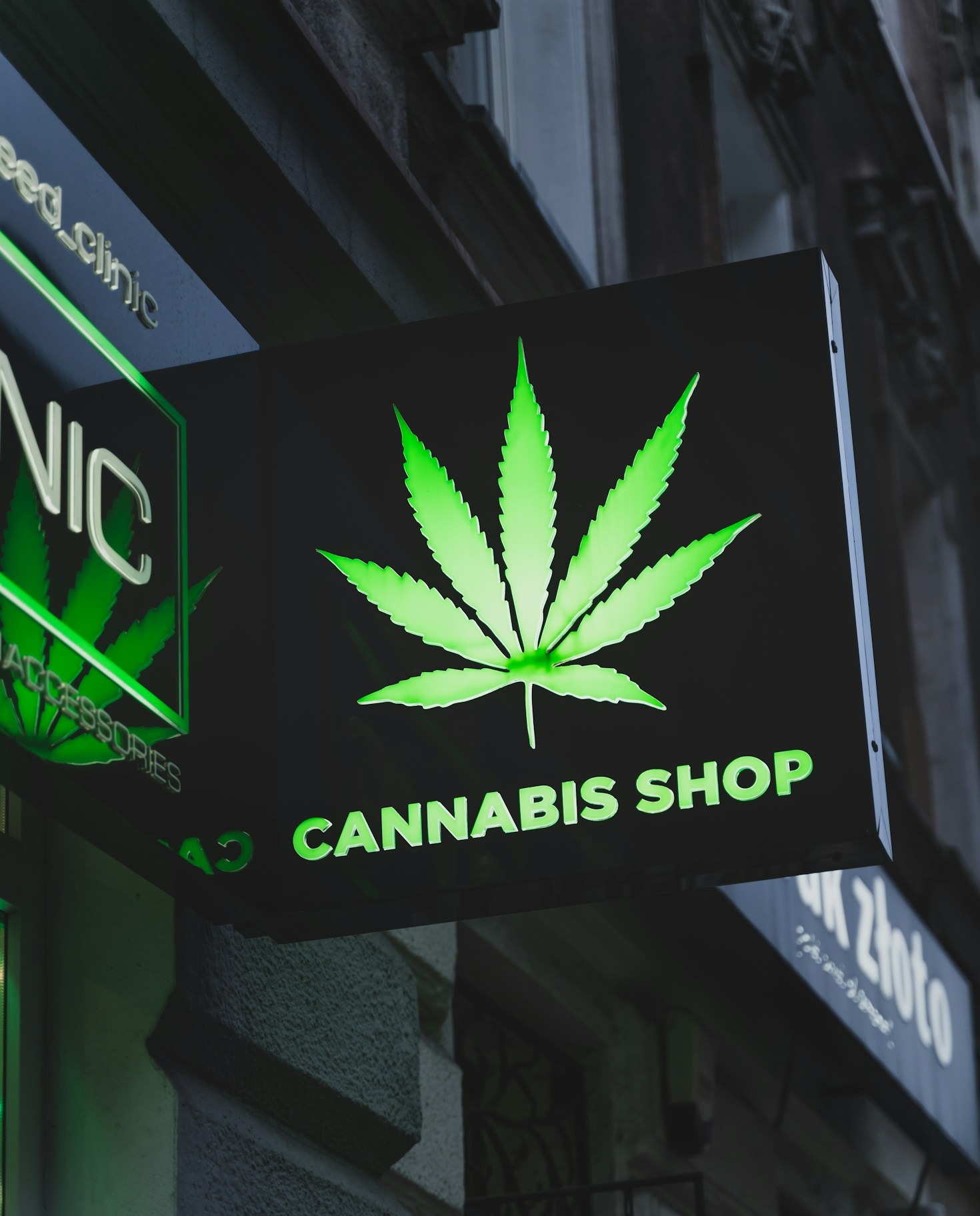 Gesundheit trifft auf Genuss: CBD erklärt